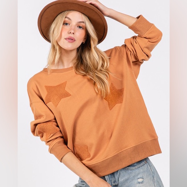 Crewneck Star Sweatshirt In Cinnamon
